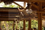 leipzig zoo-01_07_2011_gondwanaland_057